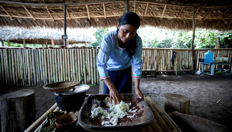 Huts (Tena, Napo, Ecuador)