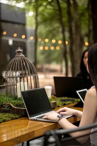 Vacation Rentals (United States of America, Austin, Texas)