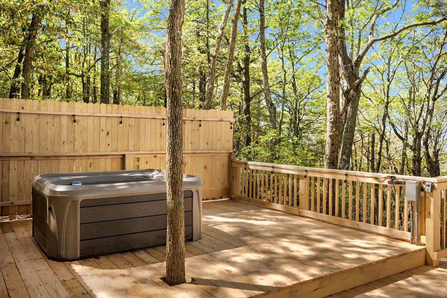 Outstanding Dome with Fire Pit and Hot-tub in Capon Bridge, West Virginia