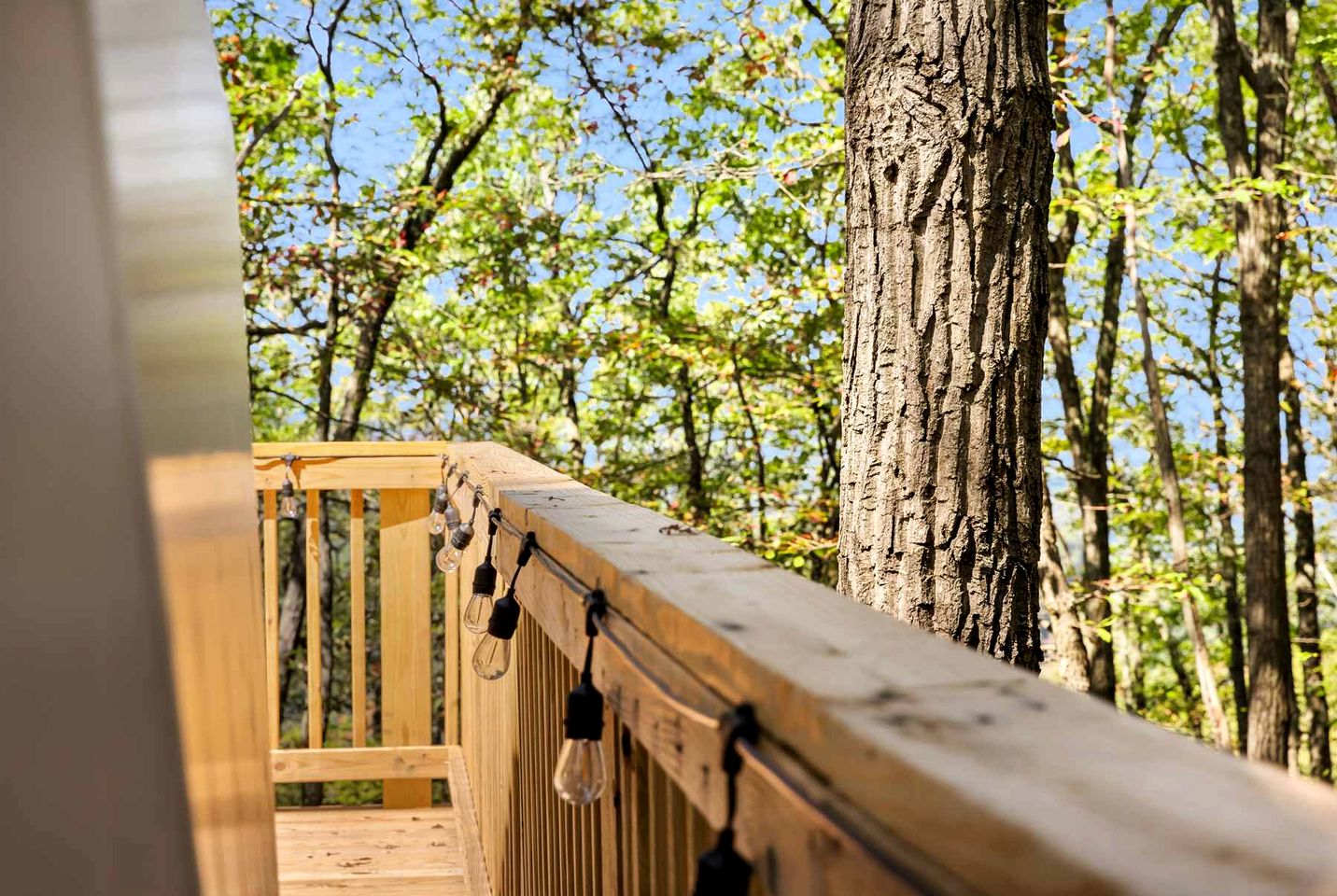 Outstanding Dome with Fire Pit and Hot-tub in Capon Bridge, West Virginia