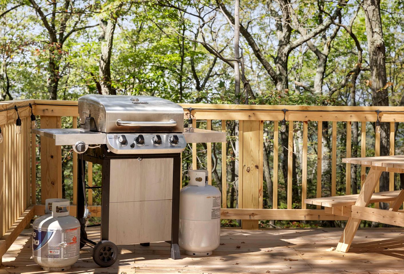Outstanding Dome with Fire Pit and Hot-tub in Capon Bridge, West Virginia