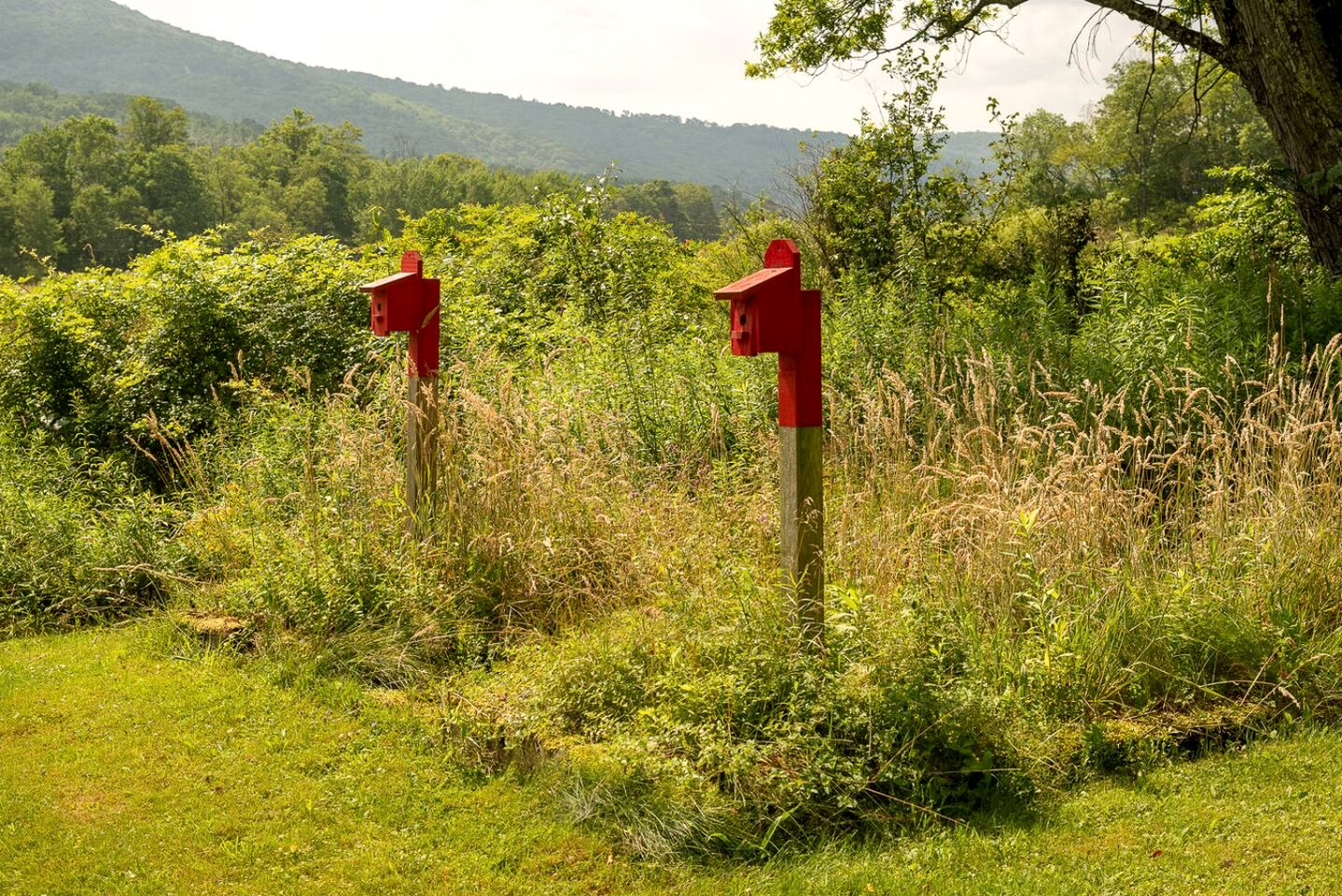 Charming Spanish Courtyard Retreat with Garden & Porch Views in Margaretville, New York
