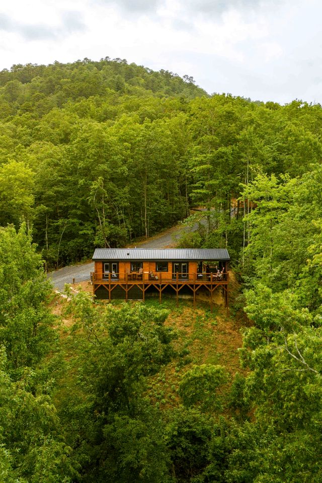 Luxurious Dog-Friendly Cabin with Fireplace, Surrounded by Forest for a Cozy Couples Getaway in the Mountains in North Carolina