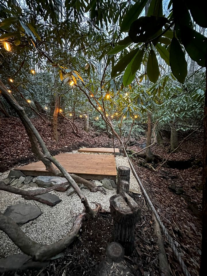 Luxurious Dog-Friendly Cabin with Fireplace, Surrounded by Forest for a Cozy Couples Getaway in the Mountains in North Carolina