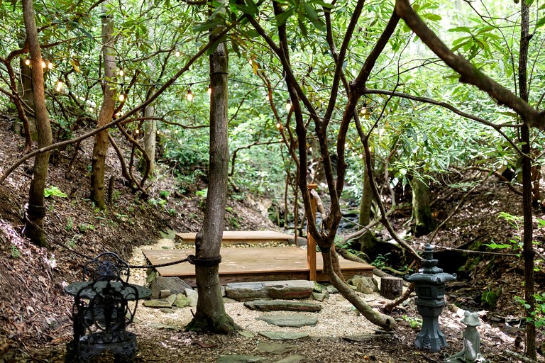 Cabins (United States of America, Brevard, North Carolina)