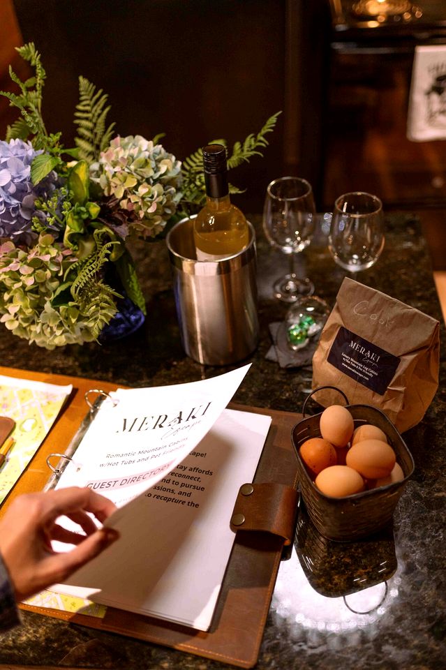 Luxurious Dog-Friendly Cabin with Fireplace, Surrounded by Forest for a Cozy Couples Getaway in the Mountains in North Carolina