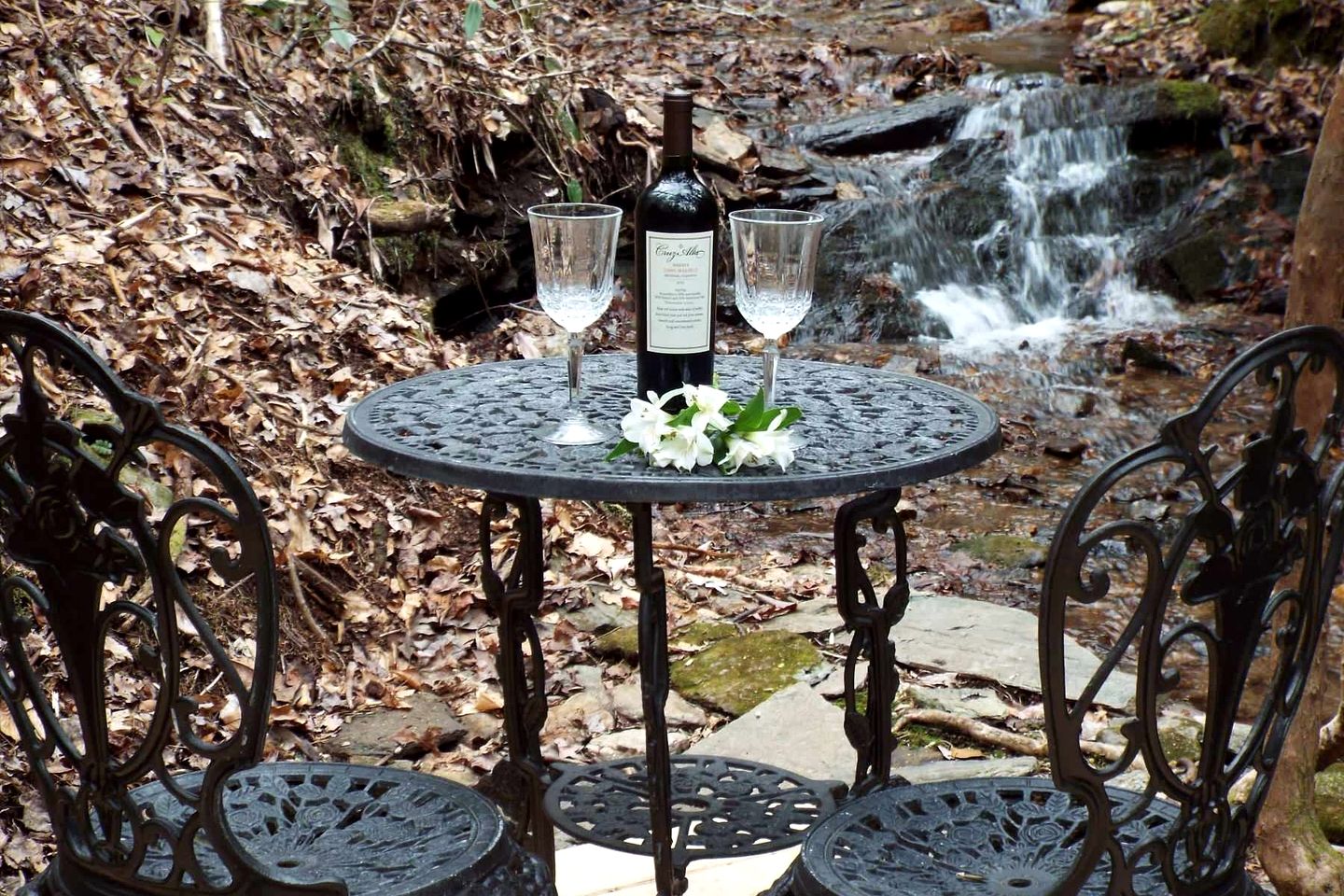 Luxurious Dog-Friendly Cabin with Fireplace, Surrounded by Forest for a Cozy Couples Getaway in the Mountains in North Carolina