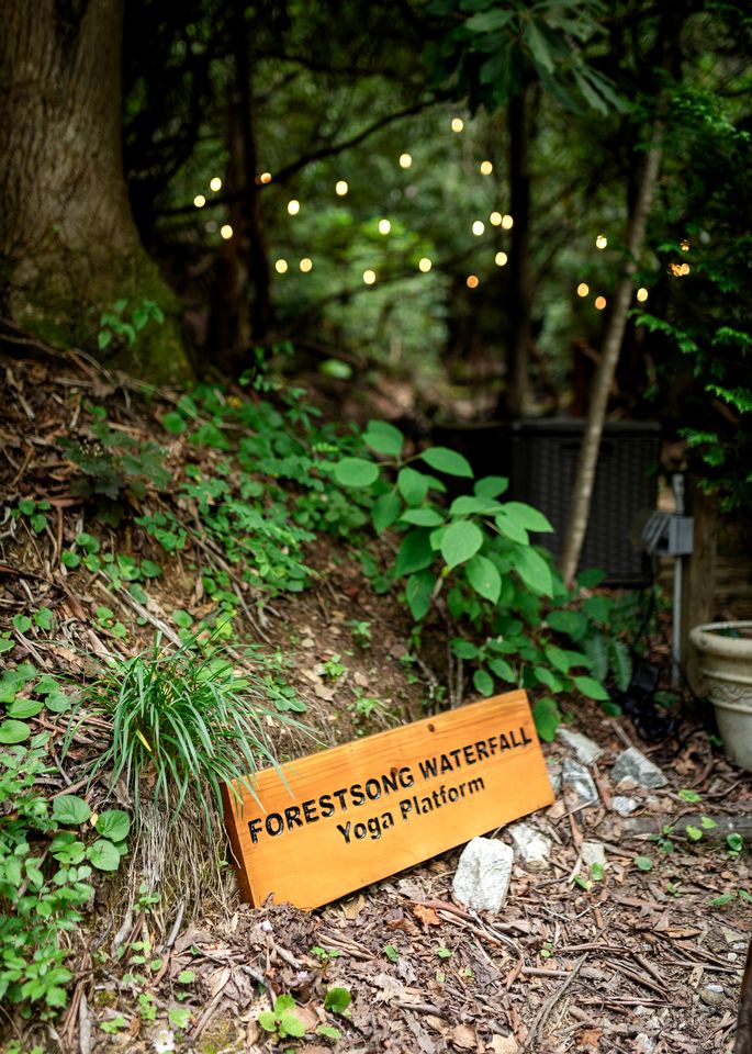 Luxurious Dog-Friendly Cabin with Fireplace, Surrounded by Forest for a Cozy Couples Getaway in the Mountains in North Carolina