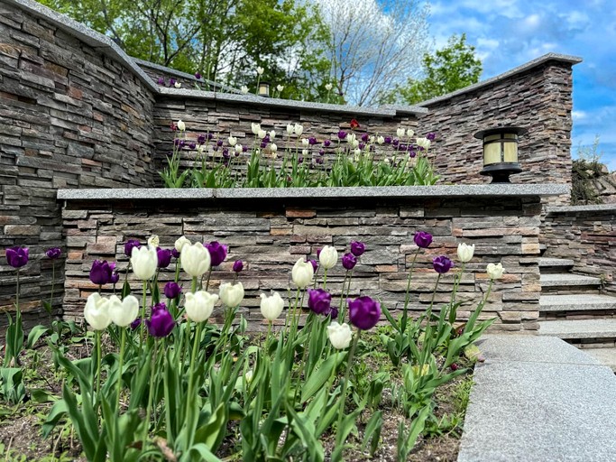 Cabins (United States of America, Jackson, New Hampshire)
