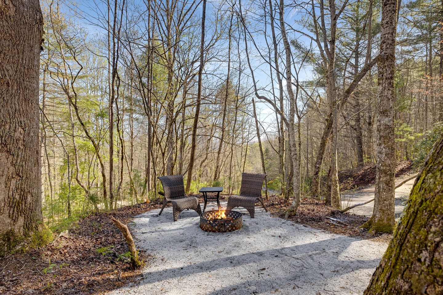Luxurious Dome Surrounded by Trees for a Relaxing Getaway in the Blue Ridge Mountains in Rosman, North Carolina