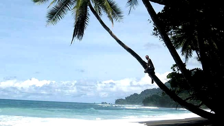 Huts (Pto. Jimenez, Puntarenas, Costa Rica)