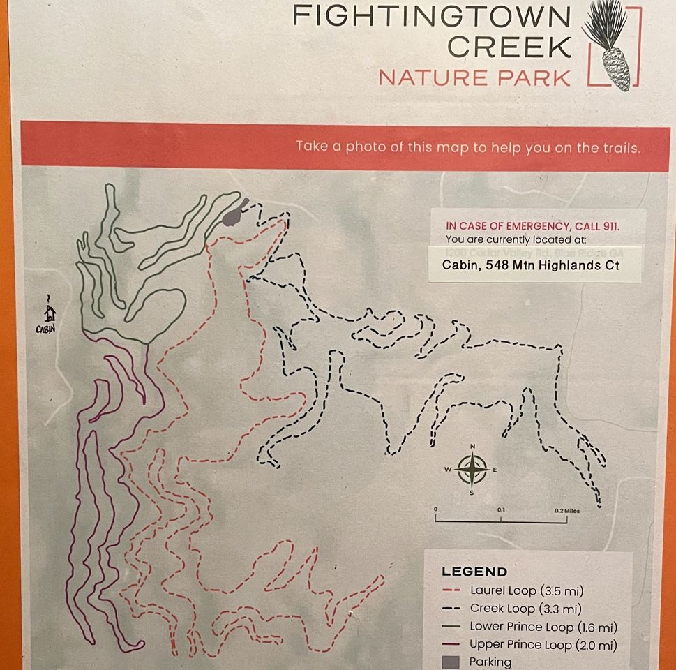 Luxurious Mountain Cabin with Hot Tub & Game Room near Blue Ridge, Georgia