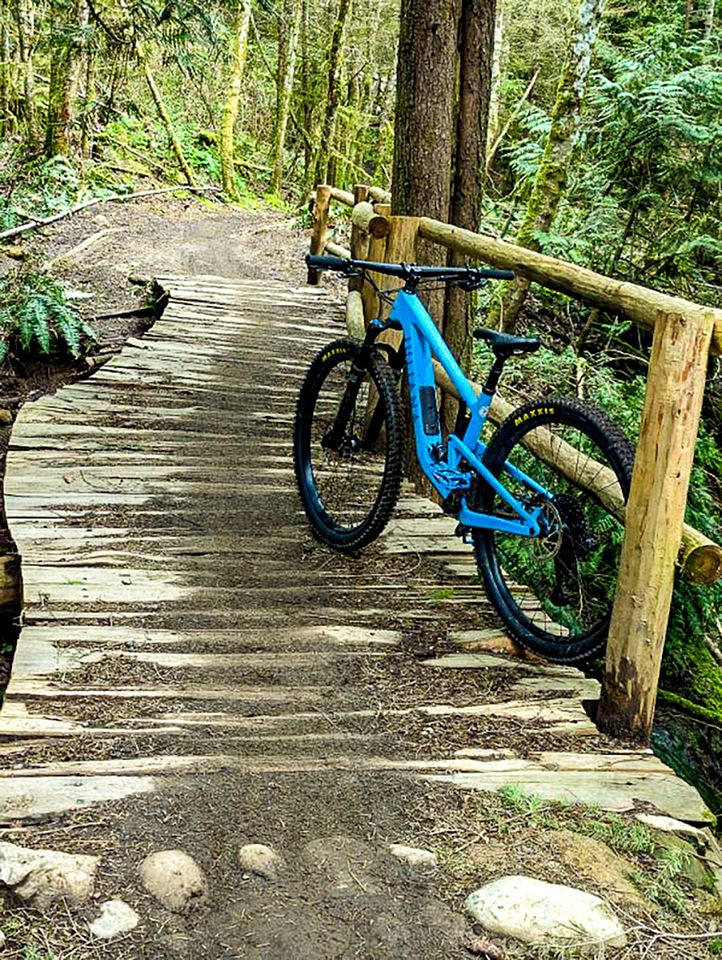 Luxury Private Cabin Beautifully Design with Beautiful Hiking Trails in Washington