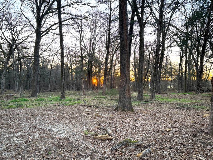 Safari Tents (United States of America, Point, Texas)