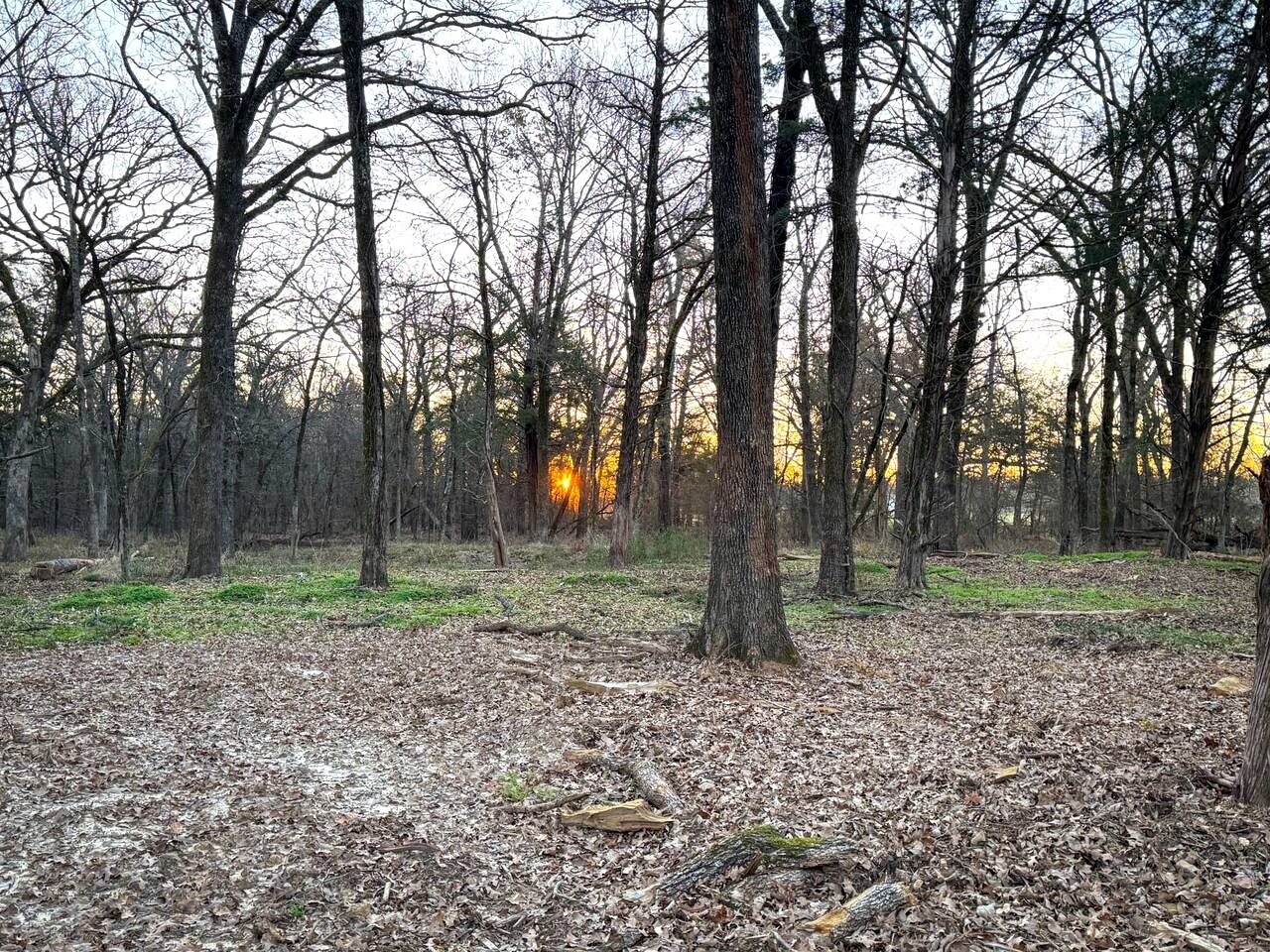 Luxurious Romantic Glamping Cabin with Outdoor Tub near Lake Fork in East Texas