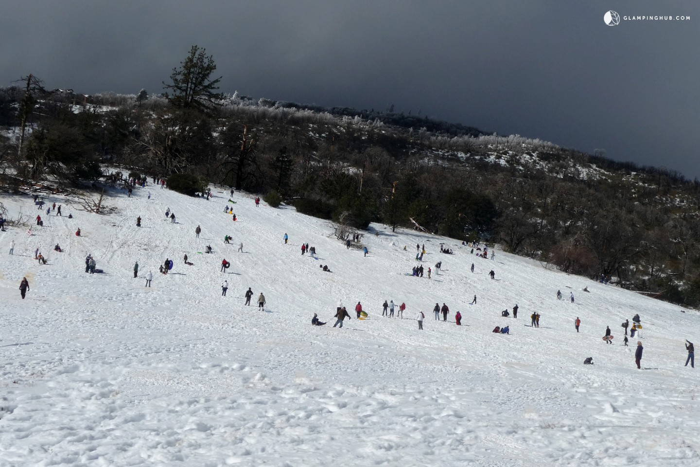 Tree House in Julian, California