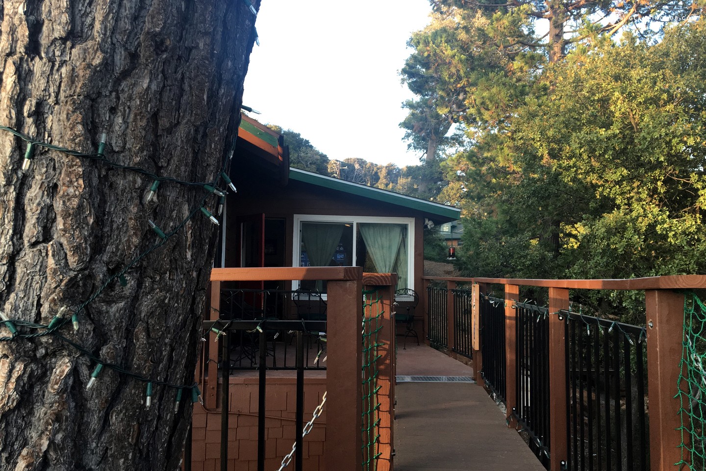 Tree House in Julian, California