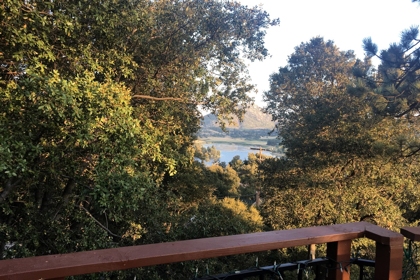 Tree House in Julian, California