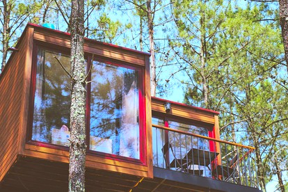 Luxurious Tree Houses Framed into Beautiful Portugal Landscape - Photo 3