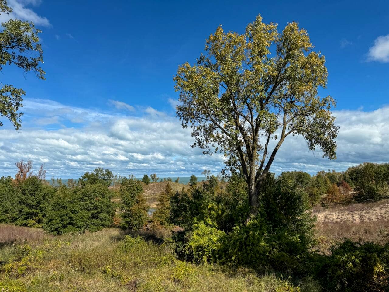 Luxurious Villa with Hot-tub, Fire Pit and Games in Gary, Indiana