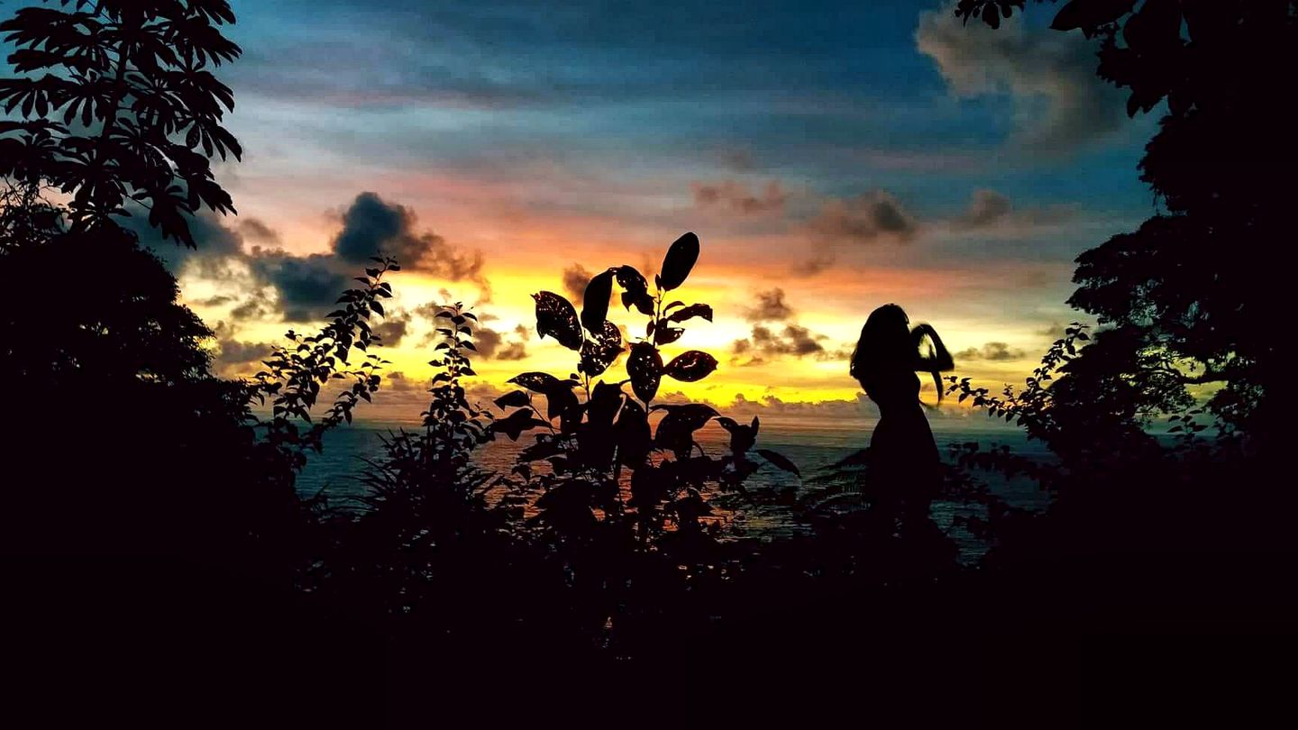 Luxury Beachside Accommodation in the Rainforest of Nuquí, Colombia