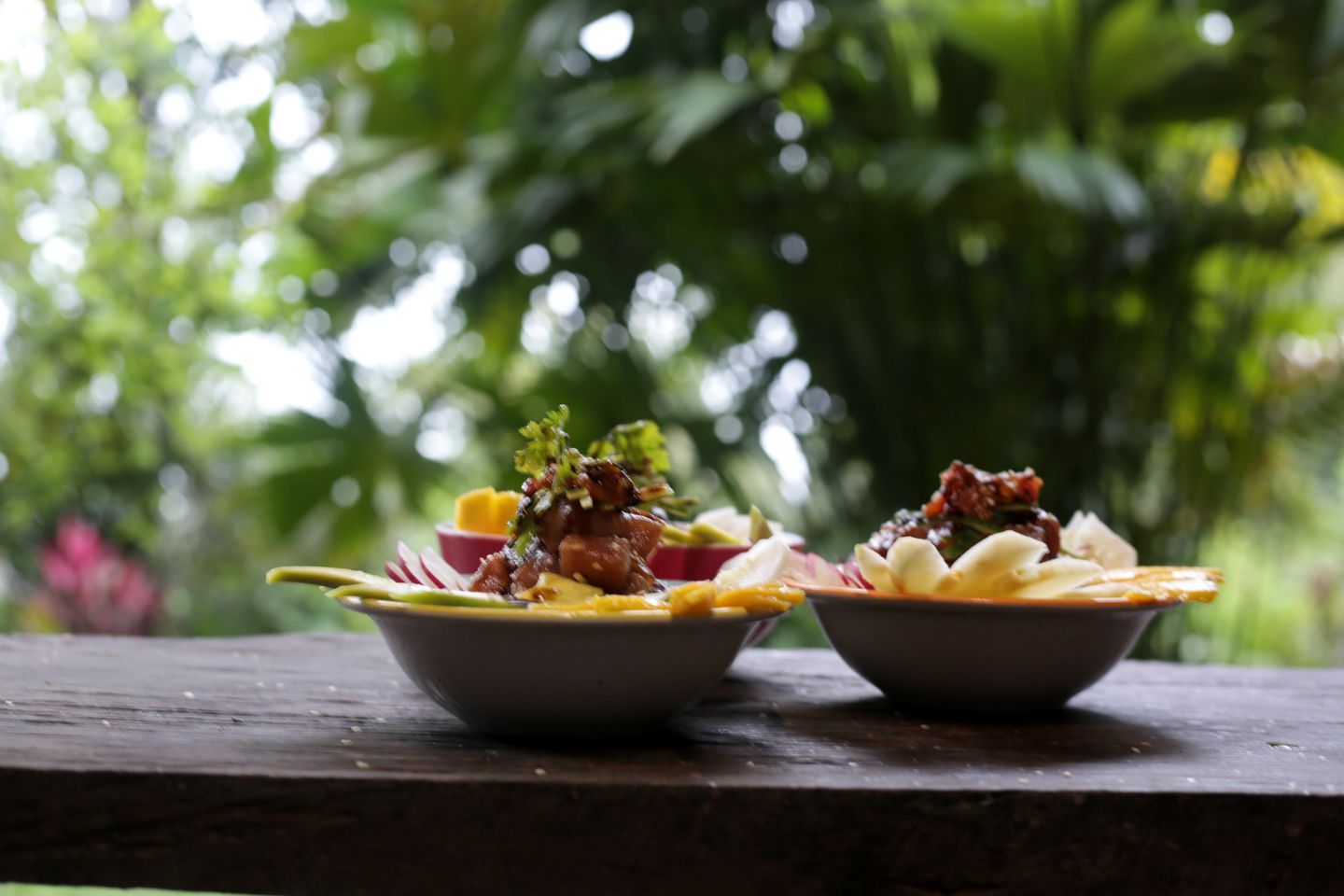 Luxury Beachside Accommodation in the Rainforest of Nuquí, Colombia