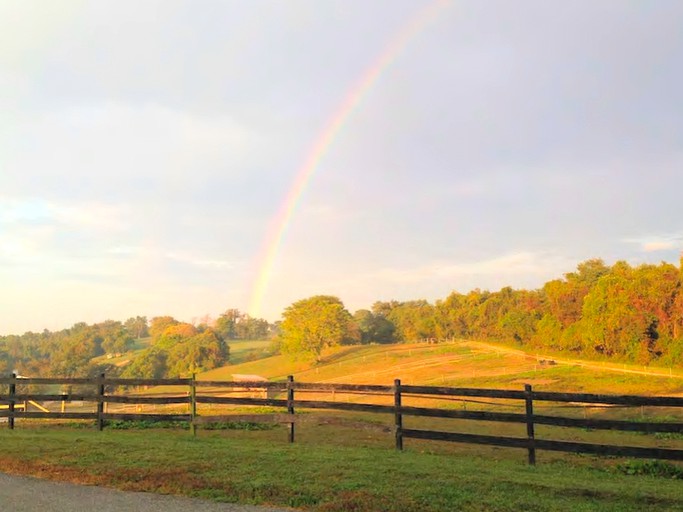 Nature Lodges (Port Deposit, Maryland, United States)