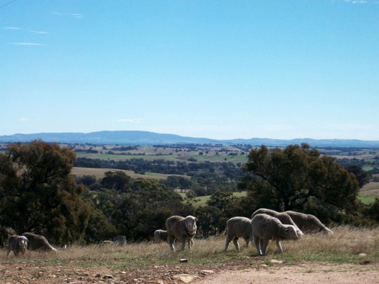Luxury Bed and Breakfast near Shiraz Wine Country in Victoria, Australia