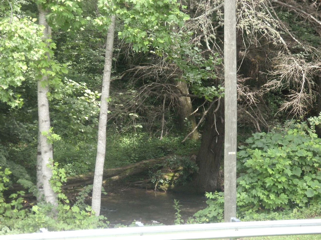 Luxury Cabin Rental With Creek Access in Maggie Valley, North Carolina