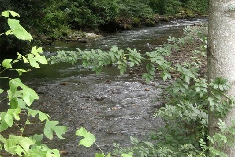 Cabins (Maggie Valley, North Carolina, United States)