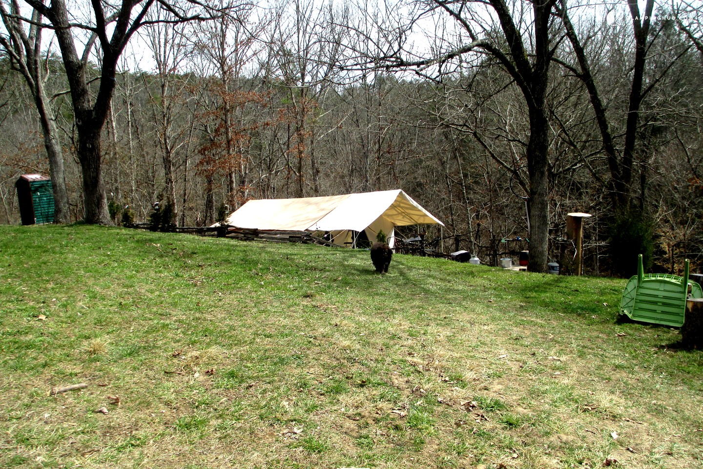 Cabin Tent Rental in North Carolina