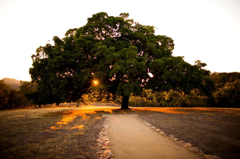 Cabins (Calistoga, California, United States)