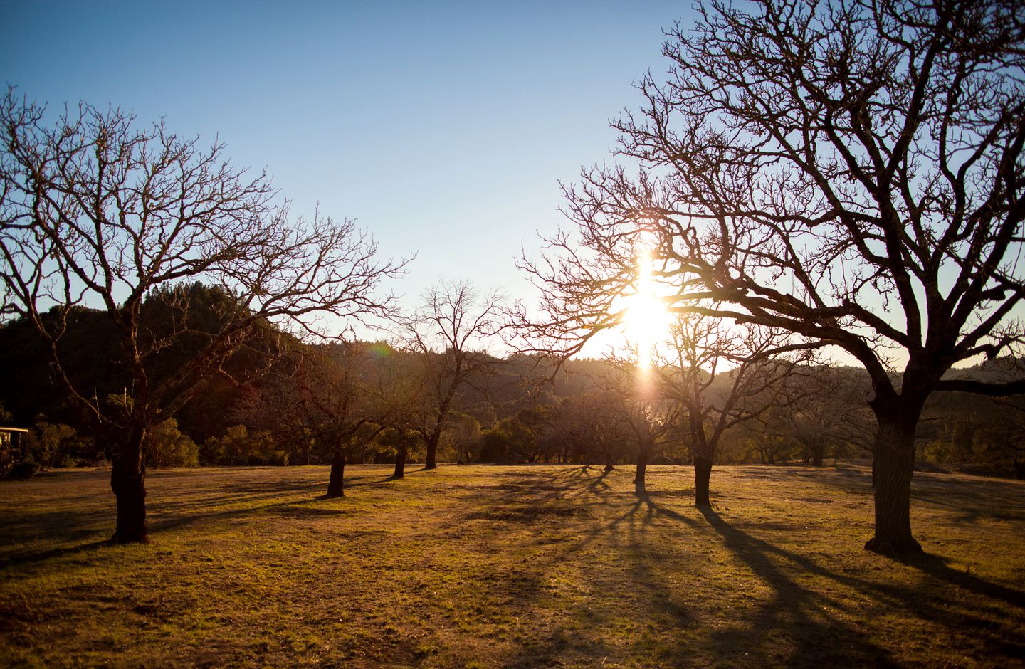 Luxury Camping Rental for Large Groups & Weddings near Napa Valley, California
