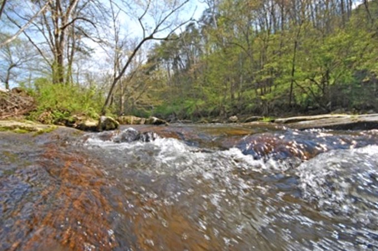 Cabins (Bryson City, North Carolina, United States)