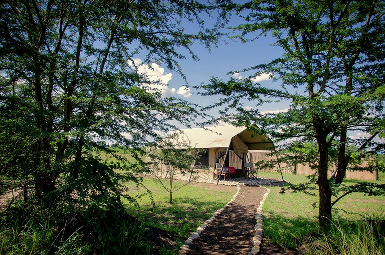 Safari Tents (Muhokya, Western Region, Uganda)