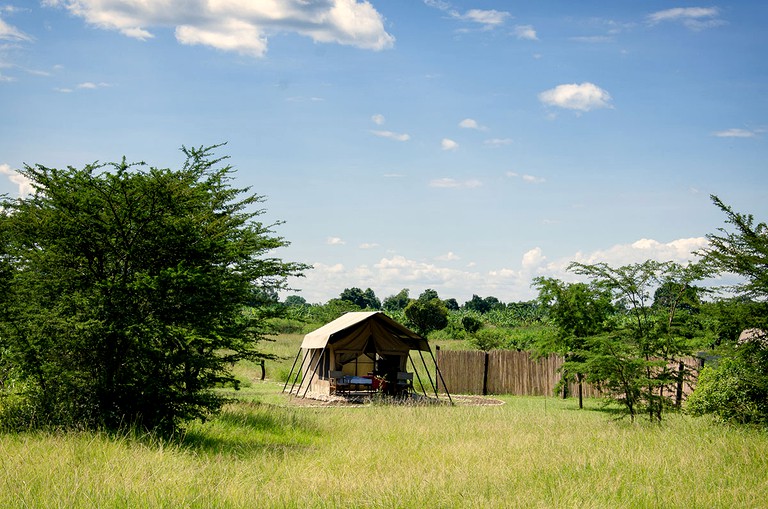 Safari Tents (Muhokya, Western Region, Uganda)