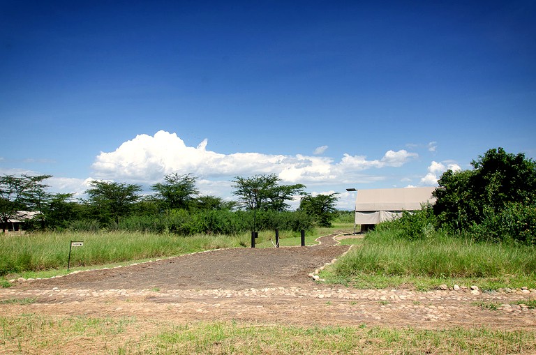 Safari Tents (Muhokya, Western Region, Uganda)