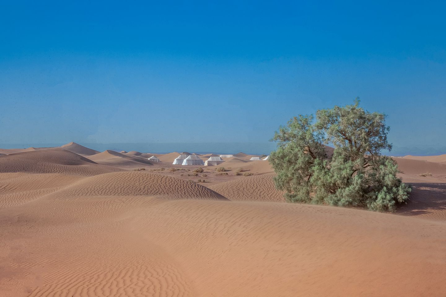 Luxury Camping Tent in the Erg Chigaga Dunes of the Sahara Desert, Morocco