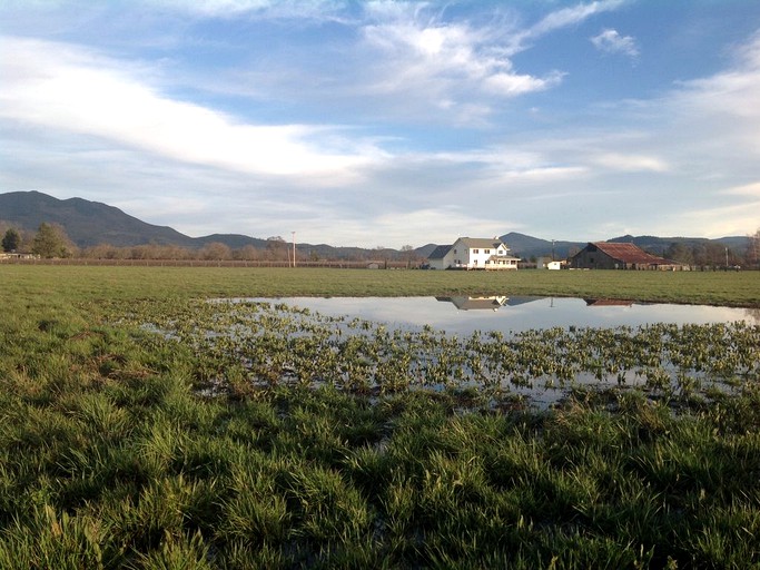 Cottages (Lakeport, California, United States)