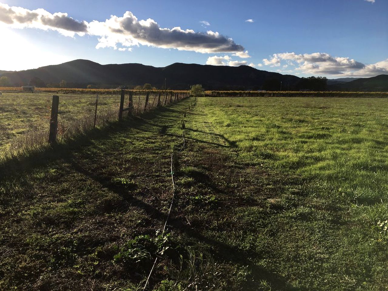 Luxury Chic Farm Cottage in Wine Country, California