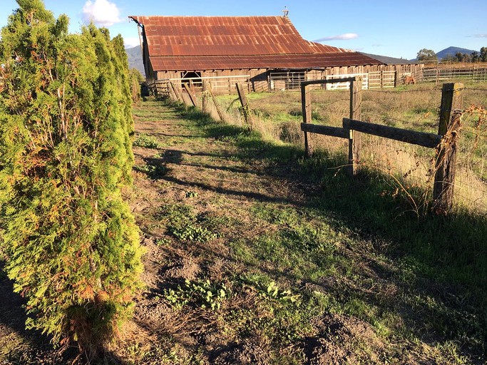 Cottages (Lakeport, California, United States)