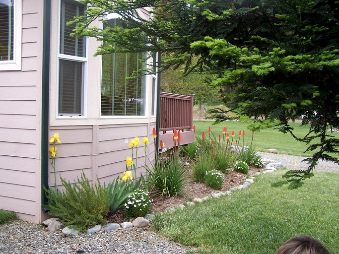 Vacation Rentals (United States of America, Big Flat, California)