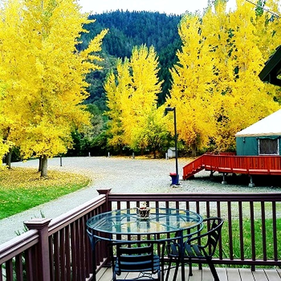 Luxury Cottage with Furnished Deck in Trinity, California