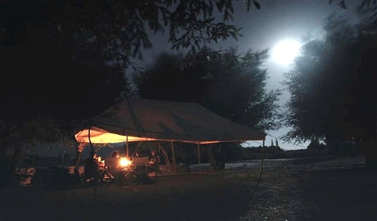 Safari Tents (Leh, Jammu and Kashmir, India)