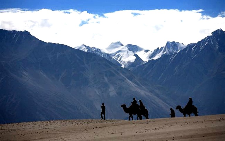 Safari Tents (Leh, Jammu and Kashmir, India)