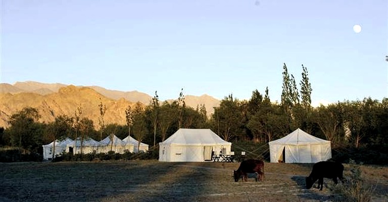 Safari Tents (Leh, Jammu and Kashmir, India)