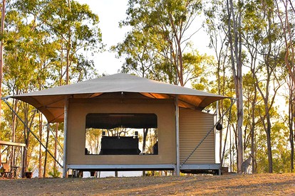 Luxury Eco-Tent with Spectacular Views for a Romantic Getaway near Brisbane, Queensland photo 5