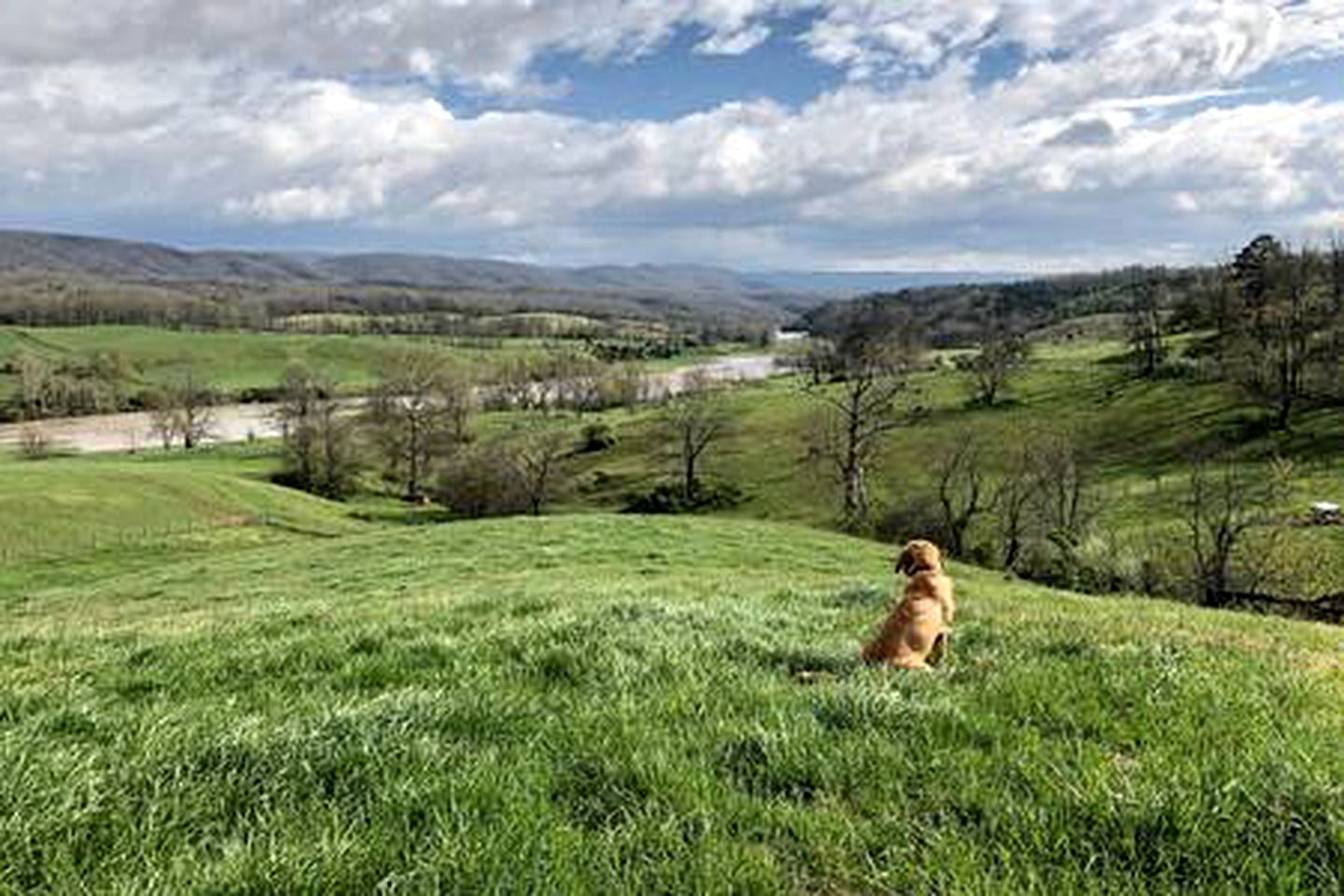 Charming Retreat: Pet-Friendly Classic Rental for Outdoor Activities in Pulaski County, VA