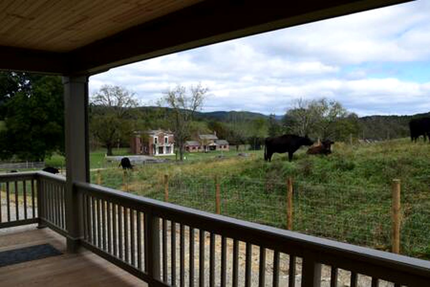 Charming Retreat: Pet-Friendly Classic Rental for Outdoor Activities in Pulaski County, VA