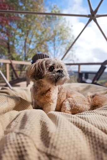 Domes (United States of America, Altamont, Tennessee)